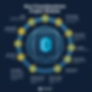 Key Considerations for Crypto Wallets Infographic showing key features to consider when choosing a crypto wallet