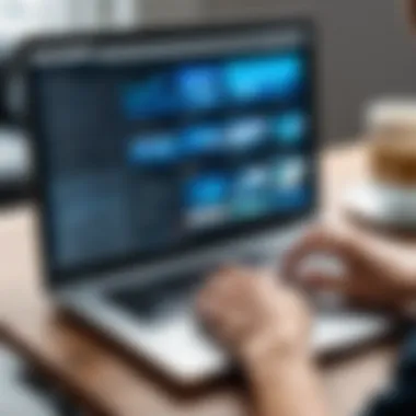 Professional Use of Picture Organizing Software Professional using organizational software on a laptop