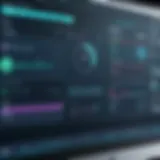 Overview of Bomgar Software Interface
