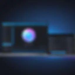 User interface of WinX Video Converter showcasing conversion options