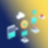 Visual representation of workflow management software features