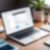 User interface of an email campaign creator