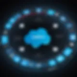 Synergy between Infor and Salesforce platforms