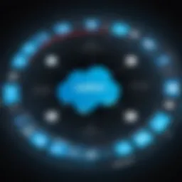 Synergy between Infor and Salesforce platforms