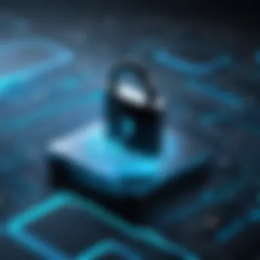 Exploring Security Risks of FreeDNS Understanding FreeDNS Security Risks