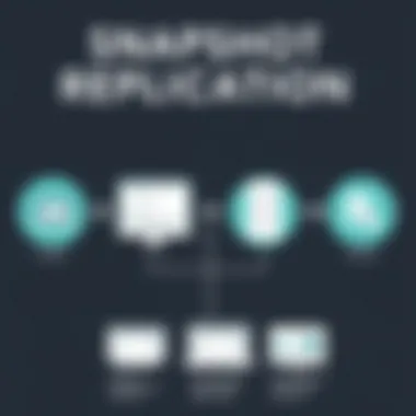 Snapshot Replication Infographic Infographic depicting snapshot replication process