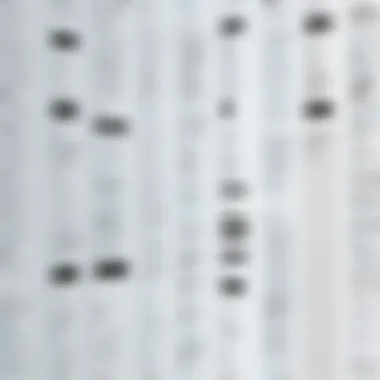 A diverse range of background check types