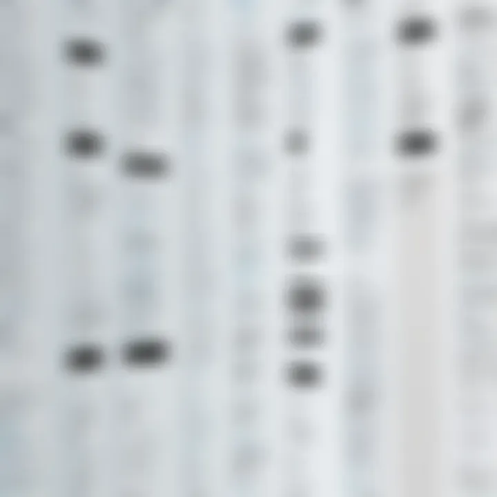 A diverse range of background check types
