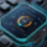 Overview of Lytx Fleet Tracking System Interface