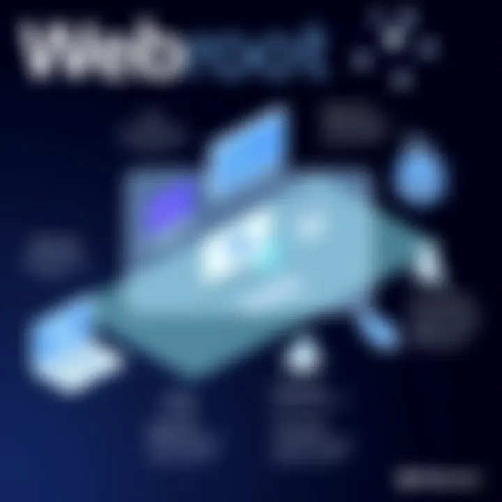 Infographic illustrating Webroot subscription model