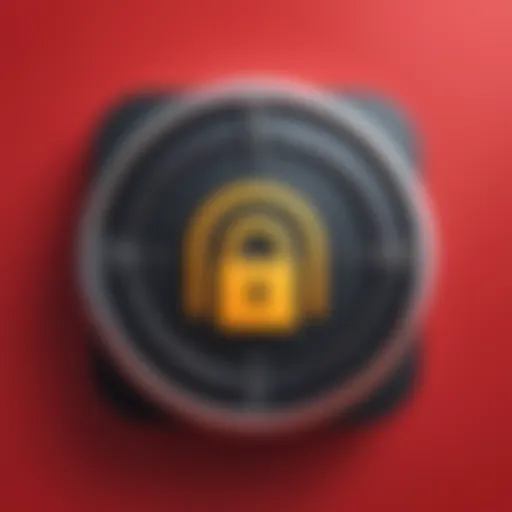 A secure digital lock symbolizing online privacy